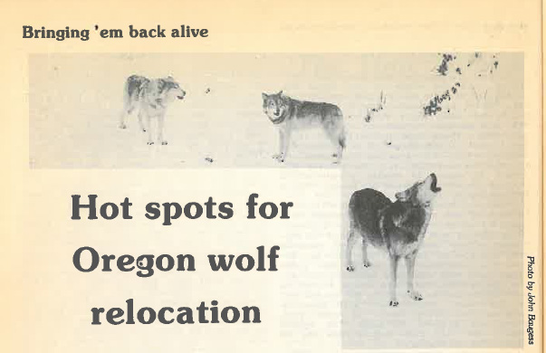 Old Oregon Wild article on bringing wolves to Oregon