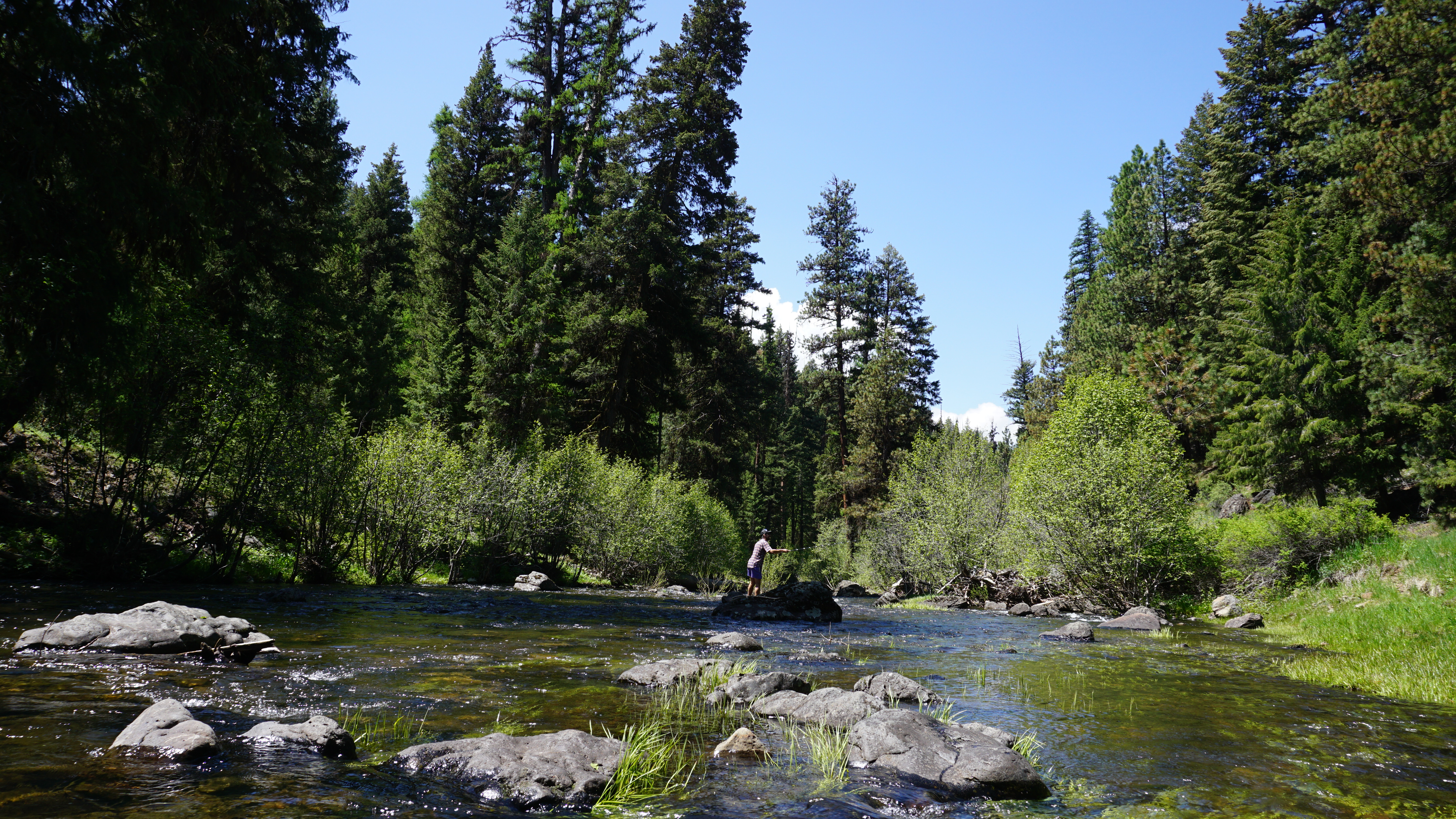 An angler fishing for redband trout in a Central Oregon stream
