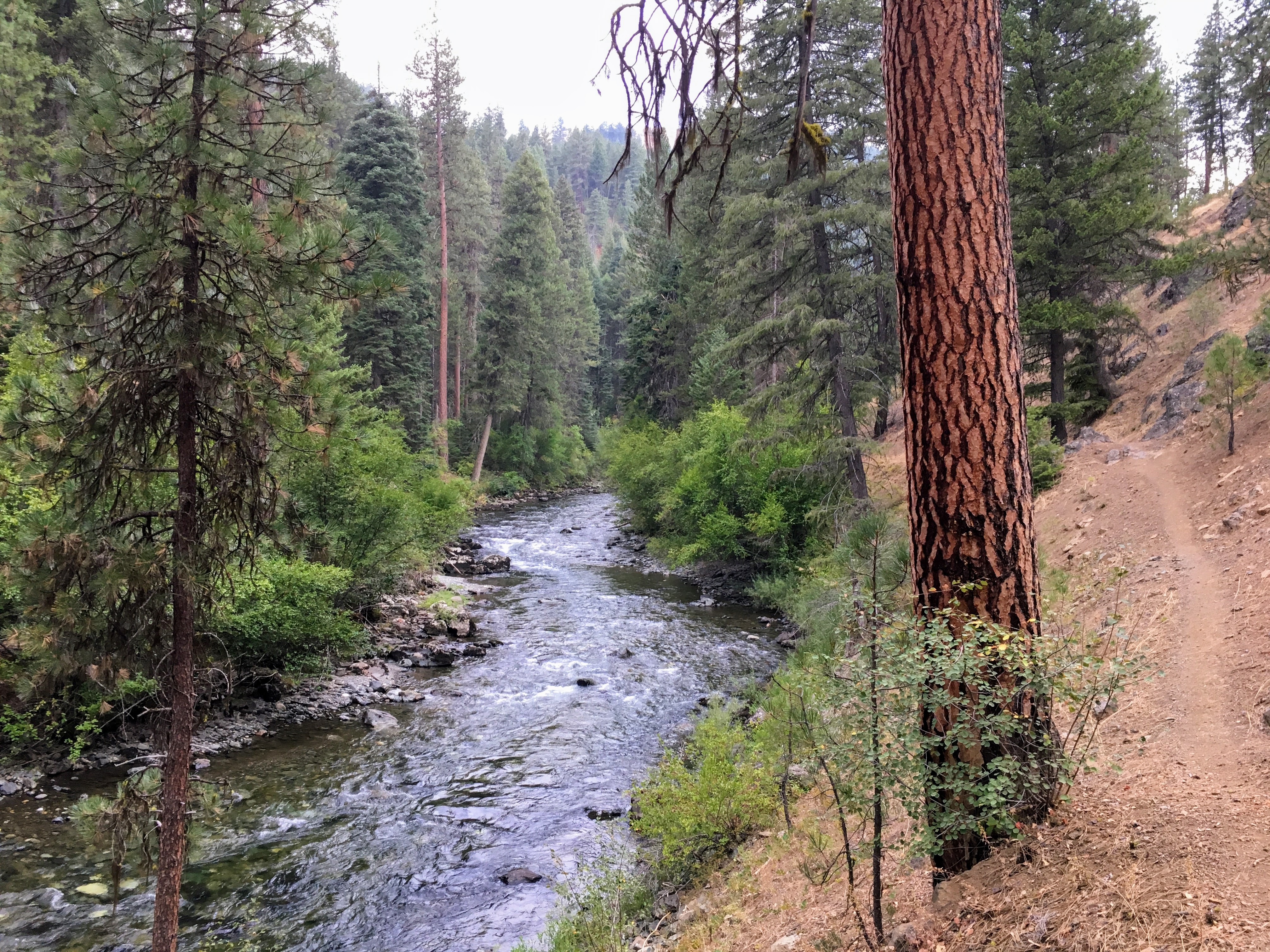 Eagle Creek, south of the Eagle Cap Wilderness