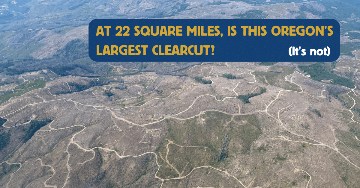 At 22 square miles, is this Oregon's largest clearcut? (it's not) Image from a plane of a massive clearcut landscape