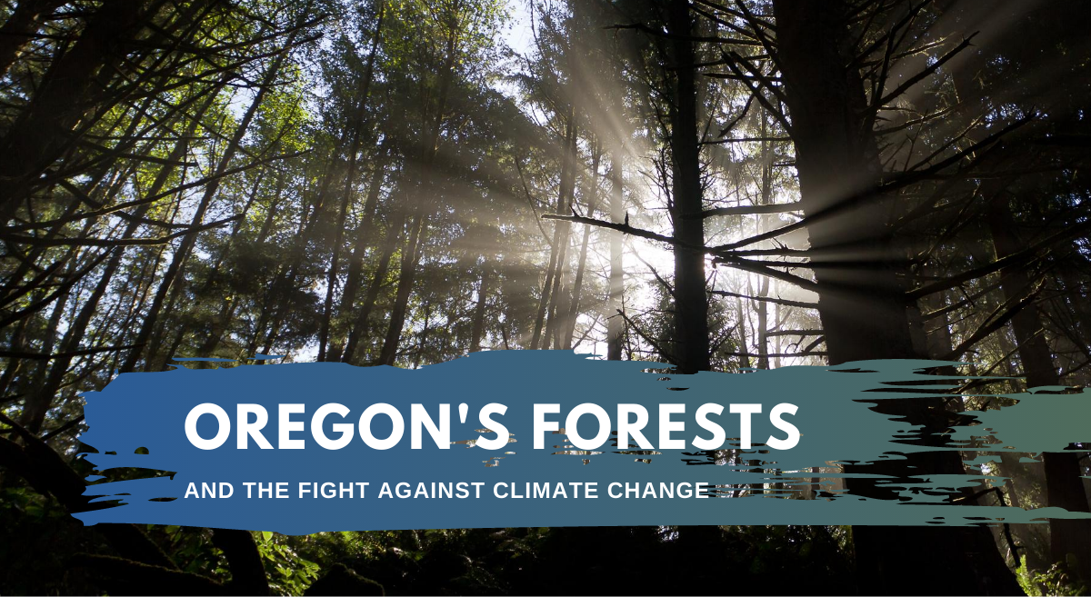 Webcast: Oregon's Forests and the Fight Against Climate Change