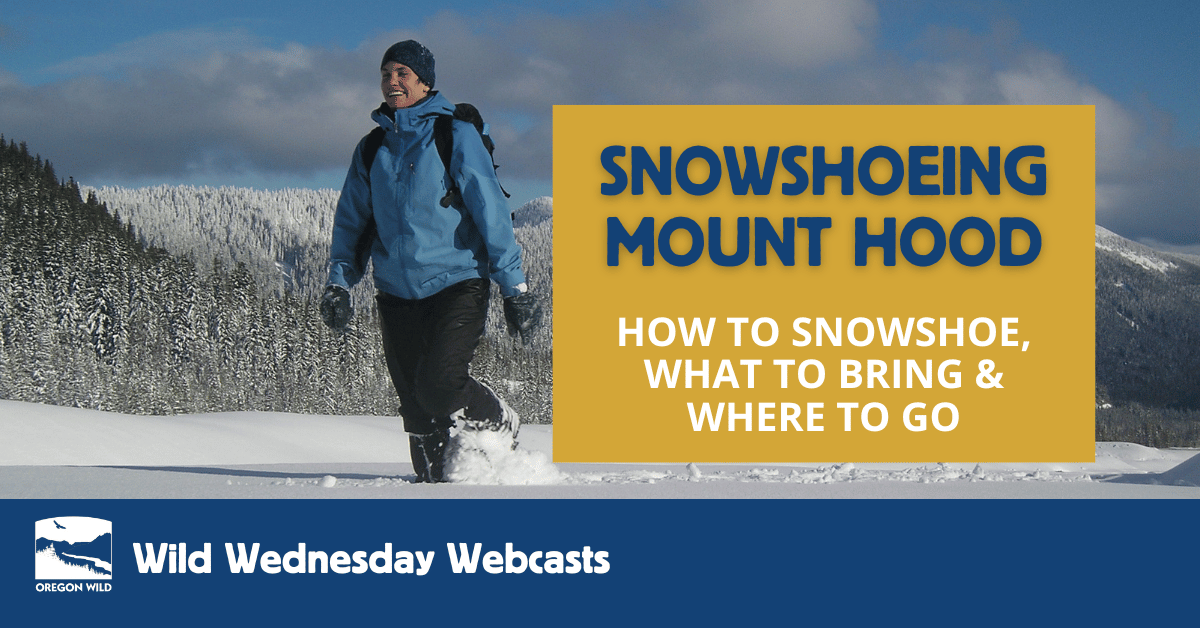 Snowshoeing Mount Hood - how to snowshoe, what to bring, and where to go