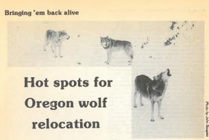 Old Oregon Wild article on bringing wolves to Oregon