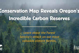 "Conservation Map Reveals Oregon's Incredible Carbon Reserves, Learn about the Forest Service's attack on our most valuable climate forests." overlayed on top of photo of forest