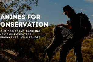 Webcast: Canines for Conservation: Webcast with the Rogue Detection Teams