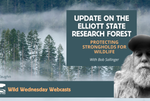 Forest tops surrounded by fog from a distance Text: Update on the Elliott State Research Forest - Protecting Strongholds for Wildlife with Bob Sallinger 