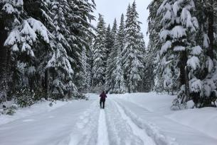 Snowshoeing in the forest