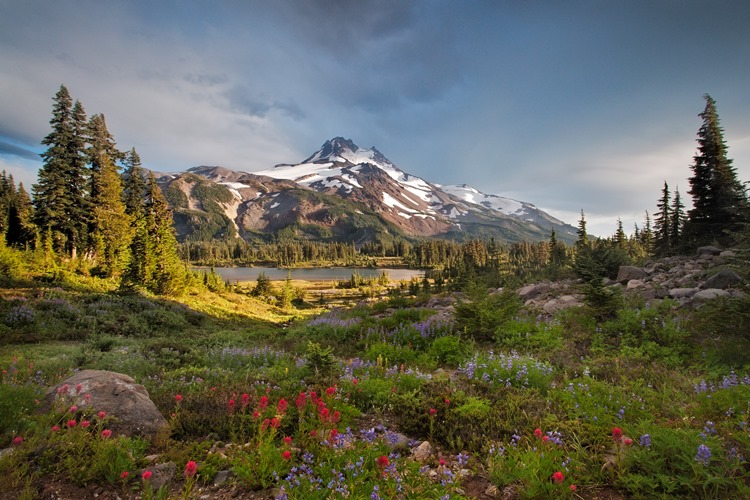 Alvorlig Soak Sag Oregon and the 1964 Wilderness Act | Oregon Wild