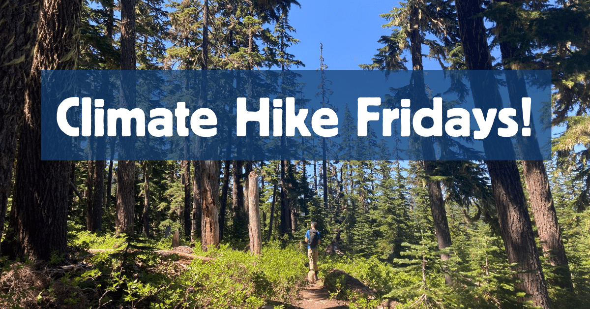 Climate Hike Fridays - a man hikes through a mature forest with blue skies