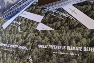 A stack of postcard comments that say "Forest Defense is Climate Defense" over a green tree canopy