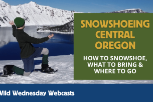 Snowshoeing Central Oregon Webcast - a man in snowshoes gazes out over a snowy scene with Wizard Island in Crater Lake