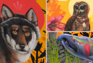 a gray wolf, northern spotted owl and coho salmon painted by Jeremy Nichols