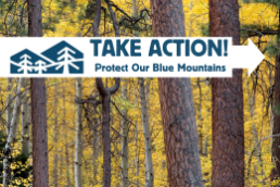 Take Action: Protect Our Blue Mountains text over large ponderosa pines